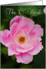 ’C’ Word, cancer recovery, pink rose card