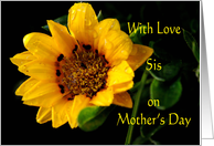 Mother’s day Sister, yellow Gazania card