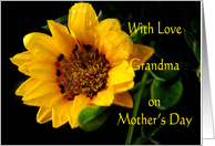Mother's Day Grandma...