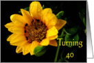 40th Birthday, yellow Gazania card