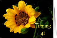 41st Birthday, yellow Gazania card