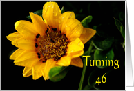 46th Birthday, yellow Gazania card