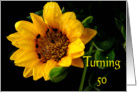 50th Birthday, yellow Gazania card