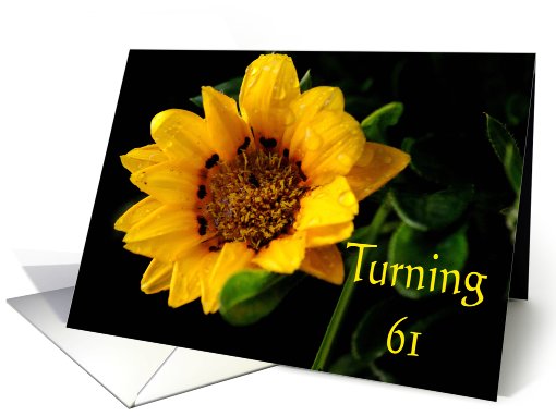 61st Birthday, yellow Gazania card (611076)
