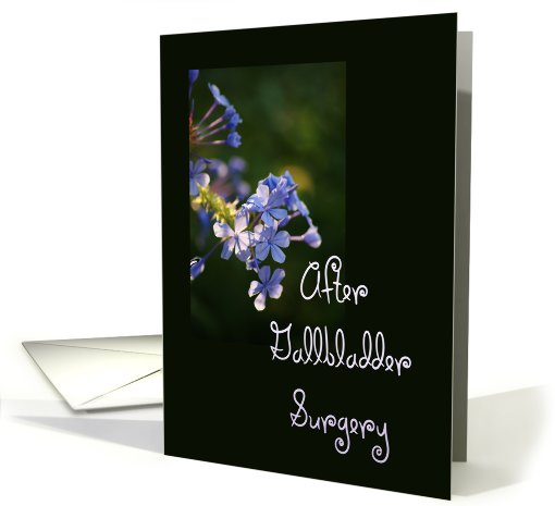 After Gallbladder Surgery, tiny purple blooms card (639174)