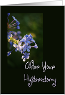 After Your Hysterectomy, tiny purple blooms card