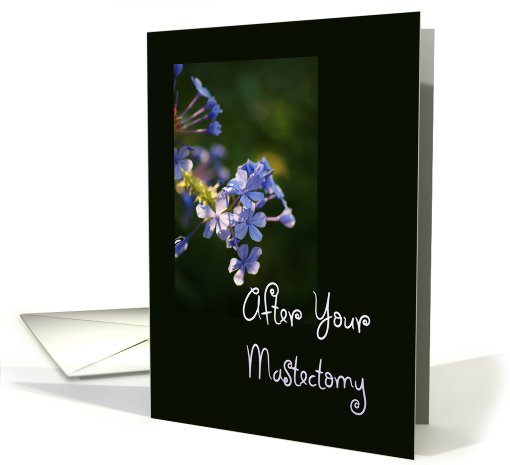 After Your Mastectomy, tiny purple blooms card (639179)