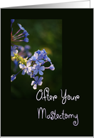 After Your Mastectomy, tiny purple blooms card