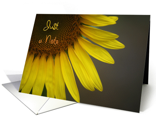 Just a Note, Sunflower blank note card (640885)