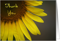 Thank You, Sunflower...
