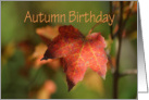 Autumn Birthday, bright fall leaf card