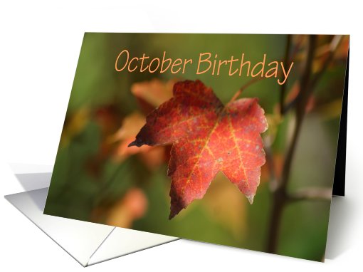 October Birthday, bright fall leaf card (752391)