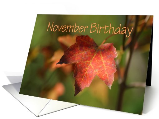 November Birthday, bright fall leaf card (752401)