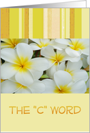 The C Word, cancer survivors get well, white & yellow blooms card