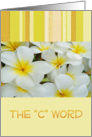 The C Word, cancer survivors get well, white & yellow blooms card