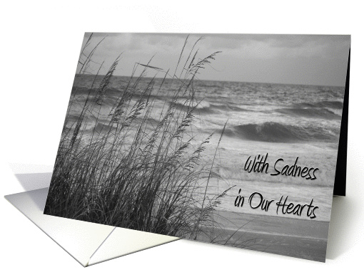 With Sadness in Our Hearts, Sympathy, Seaoats & Surf in... (866059)