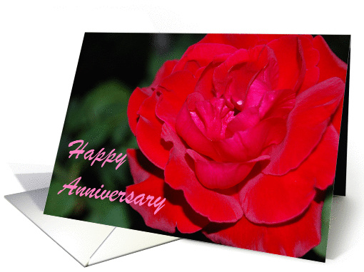 Anniversary Red Rose - From Spouse card (419707)
