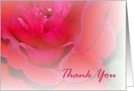 Red Rose Thank You card