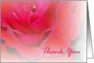 Red Rose Thank You card