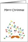 FIZZET - Christmas Lights card
