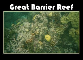 Great Barrier Reef Australia