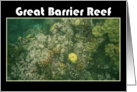 Great Barrier Reef Australia card