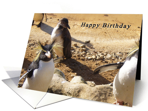Penguins Birthday card (252070)