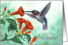 Get Well Wishes Hummingbird with Trumpet Creeper card