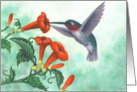 Blank/Any Occasion Hummingbird with Trumpet Creeper card