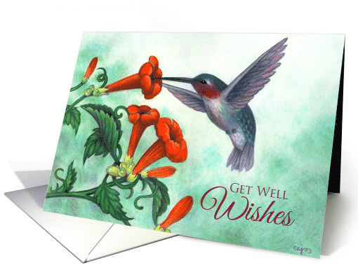 Get Well Wishes Hummingbird with Trumpet Creeper card (1749536)