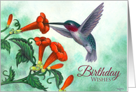 Birthday Wishes Hummingbird with Trumpet Creeper card