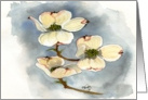 Dogwoods card