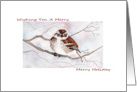 Happy Holidays, Illustrated Sparrow Christmas Card