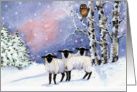 Christmas Eve Friends, Lambs, Owl in Snow card