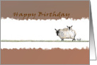 Happy Birthday Sheep, Baaaaaa Another Year card
