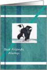 Penquins Best friends card