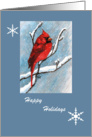 Cardinal and Snowflakes Happy Holidays card