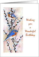 birthday bluebirds