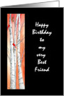 Birthday Friend card