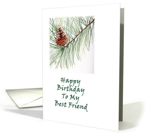 pine cone card (340050)