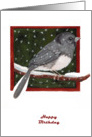 Happy Birthday snowbird card
