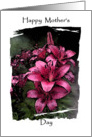 Pink Lillies card