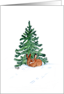 Christmas, Bunnies in Snow With Pine Tree card