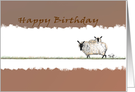 Happy Birthday Sheep...