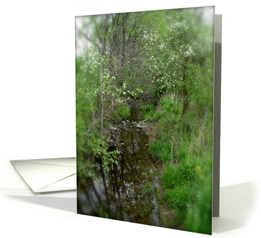 spring creek card (250044)