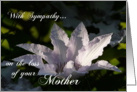 With Sympathy on the loss of Mother-Flower at Dusk card