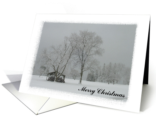Winter's Here! Merry Christmas card (248663)