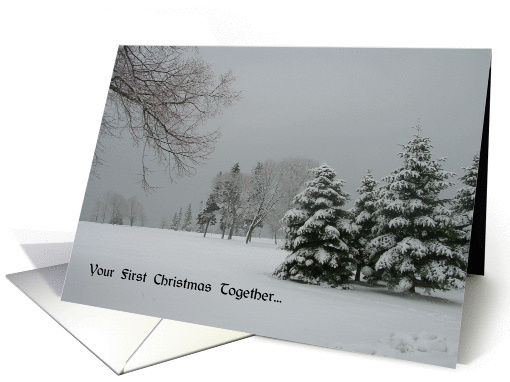 Your First Christmas Together card (319762)