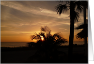 Sunrise over the Atlantic/Palm Trees card