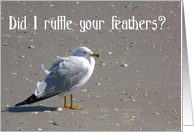 Did I ruffle your feathers? card